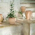 Delphi Ø24 Low Planter & Saucer