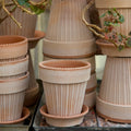 Simona Ø18 Planter & Saucer Gift Set