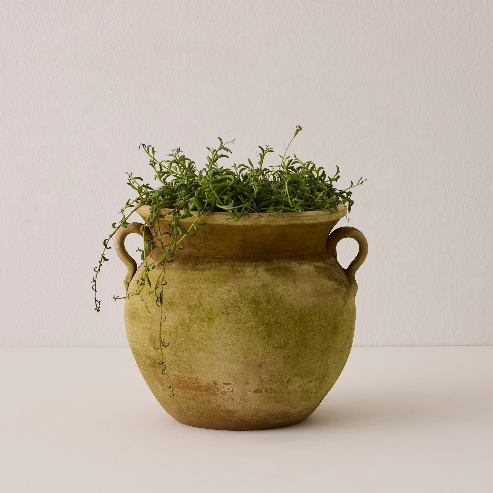 Aged Allende Urn Planter - Medium