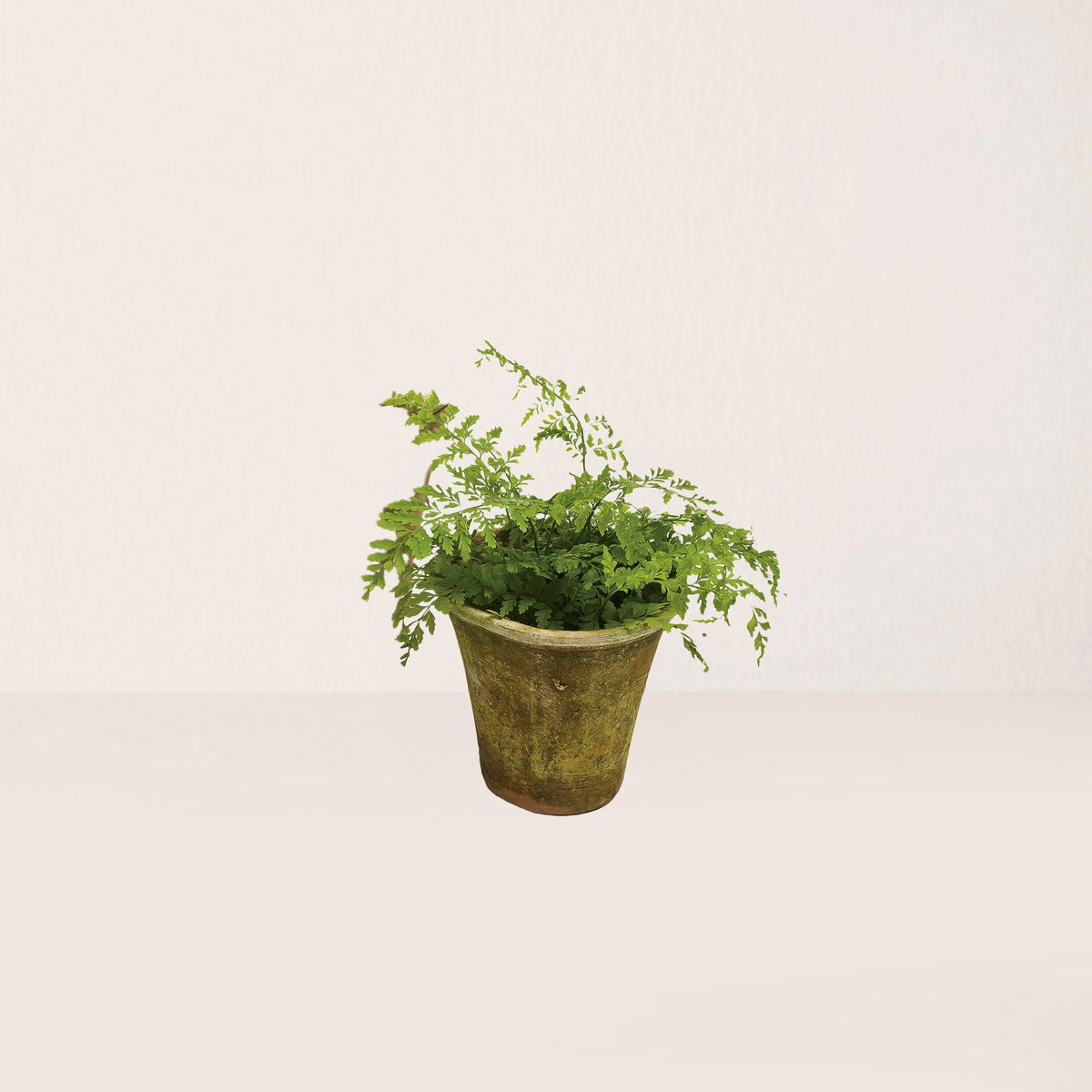 Aged Nursery Short Planter - 2X-Small