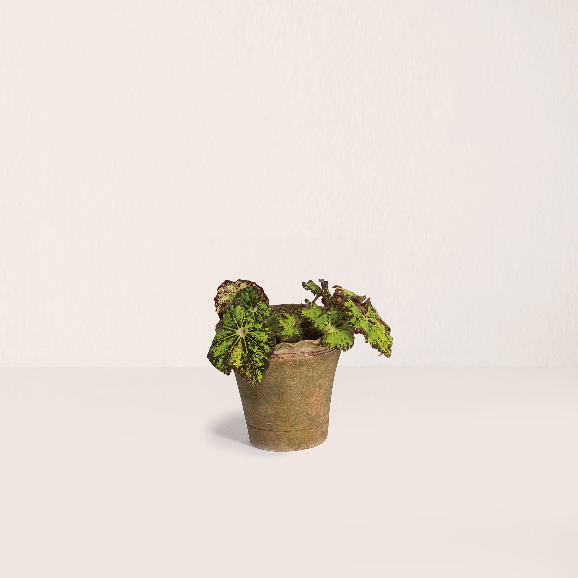Aged Pie Crust Nursery Short Planter - 2X-Small