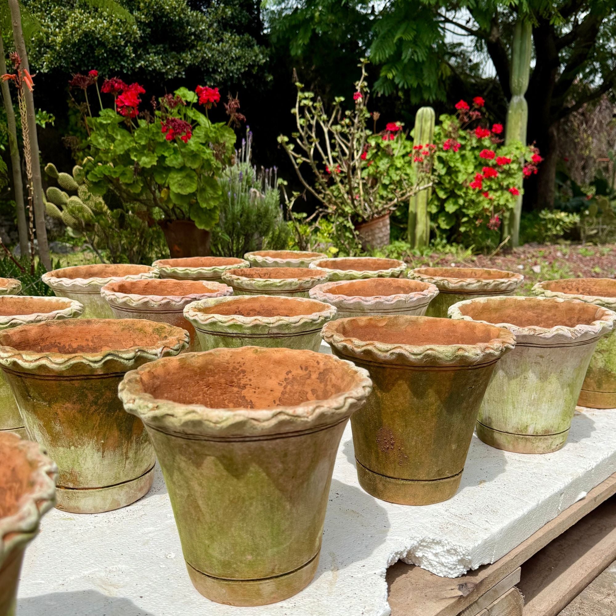 Aged Pie Crust Nursery Short Planter - X-Small