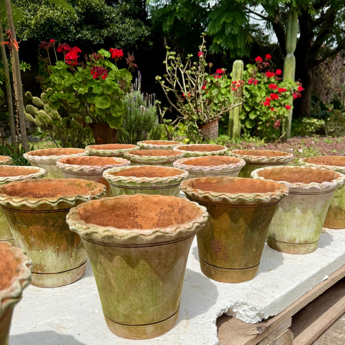 Aged Pie Crust Nursery Short Planter - X-Small