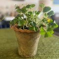 Aged Pie Crust Nursery Short Planter - 2X-Small