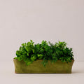 Aged Rectangular Mimi Planter