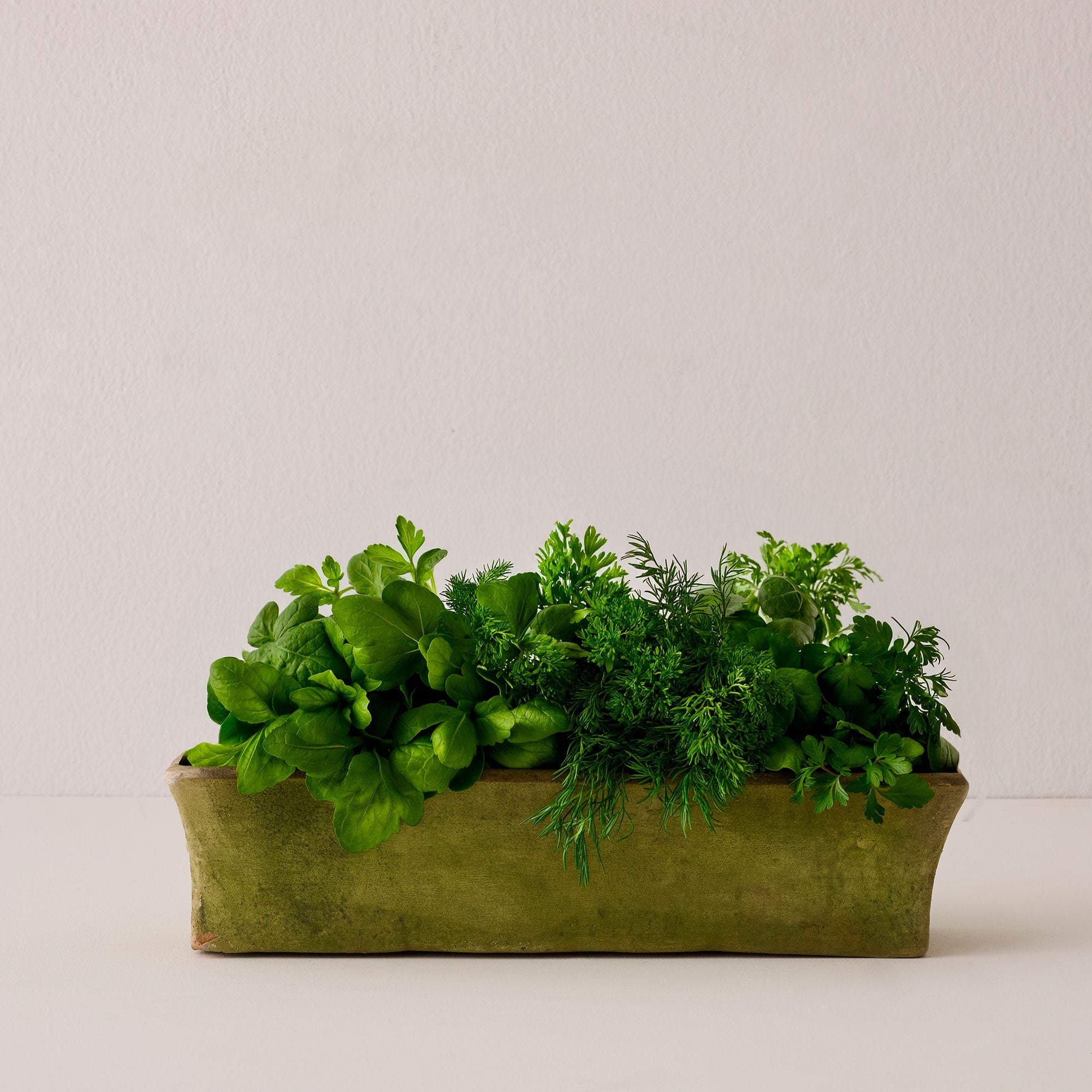 Aged Rectangular Mimi Planter