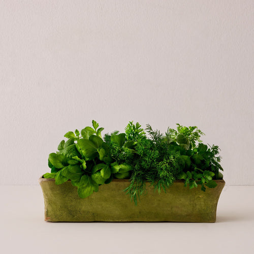 Aged Rectangular Mimi Planter