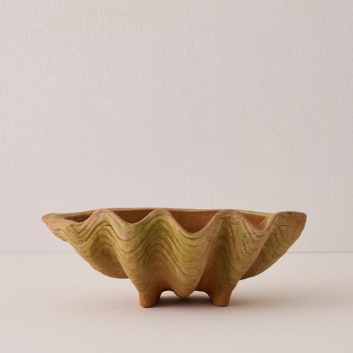 Aged Conch Shell Planter - Large