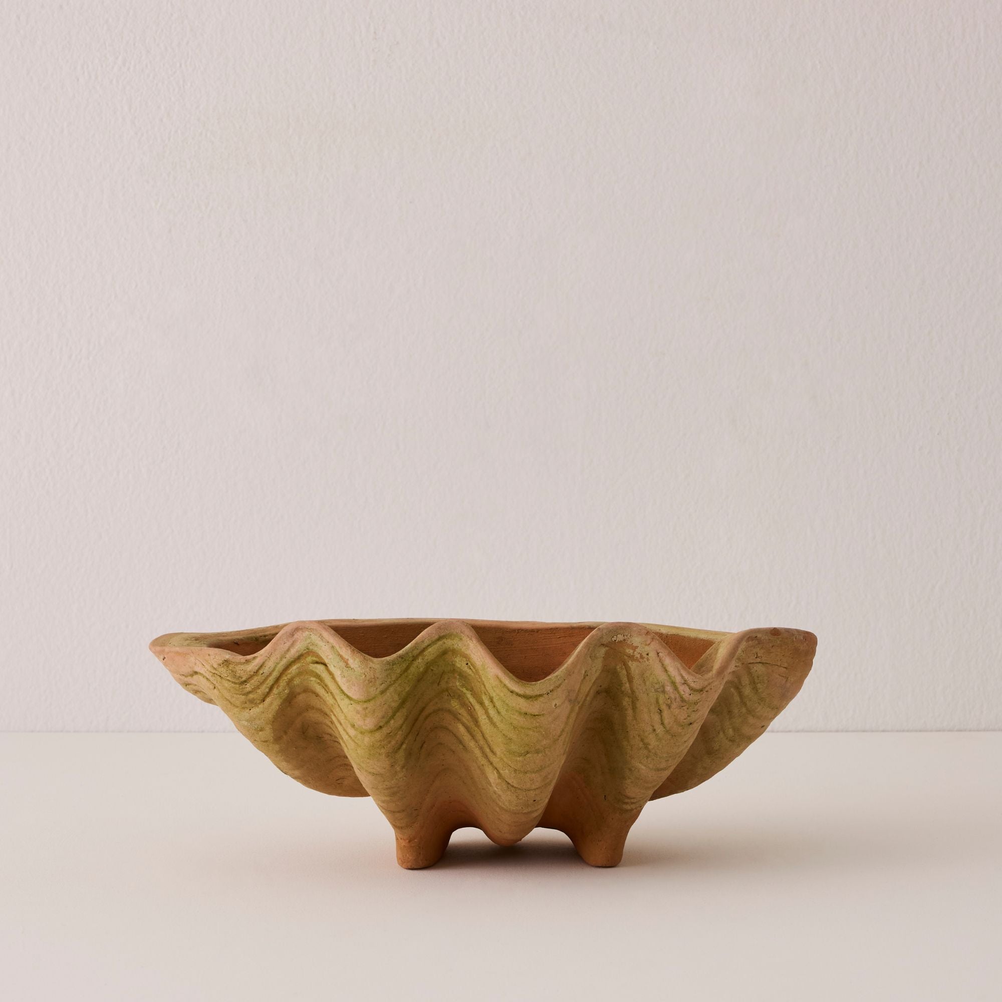 Aged Conch Shell Planter - Large