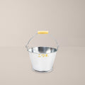 Niwaki Galvanised Bucket