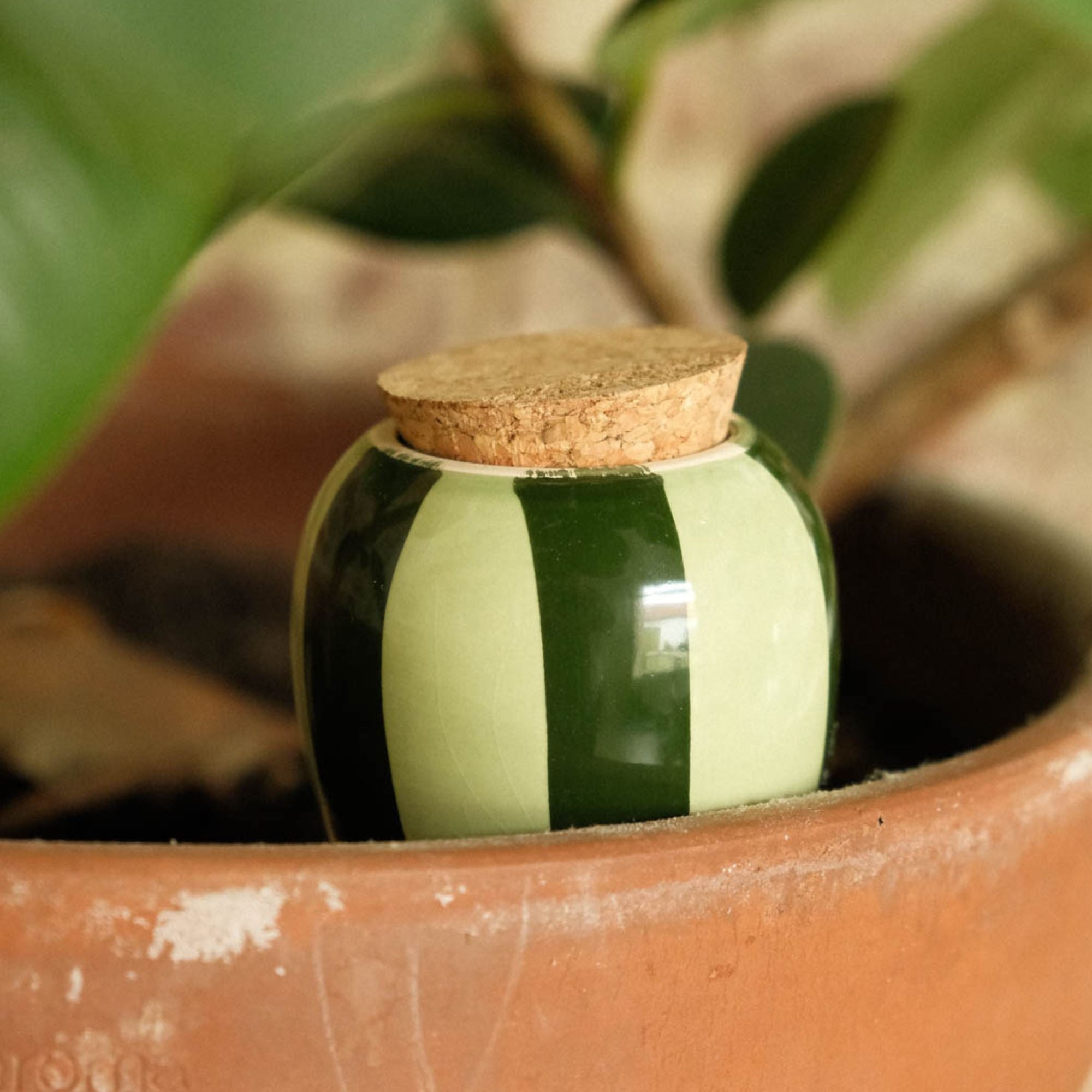 Olla Self-Watering Pot - Glaze
