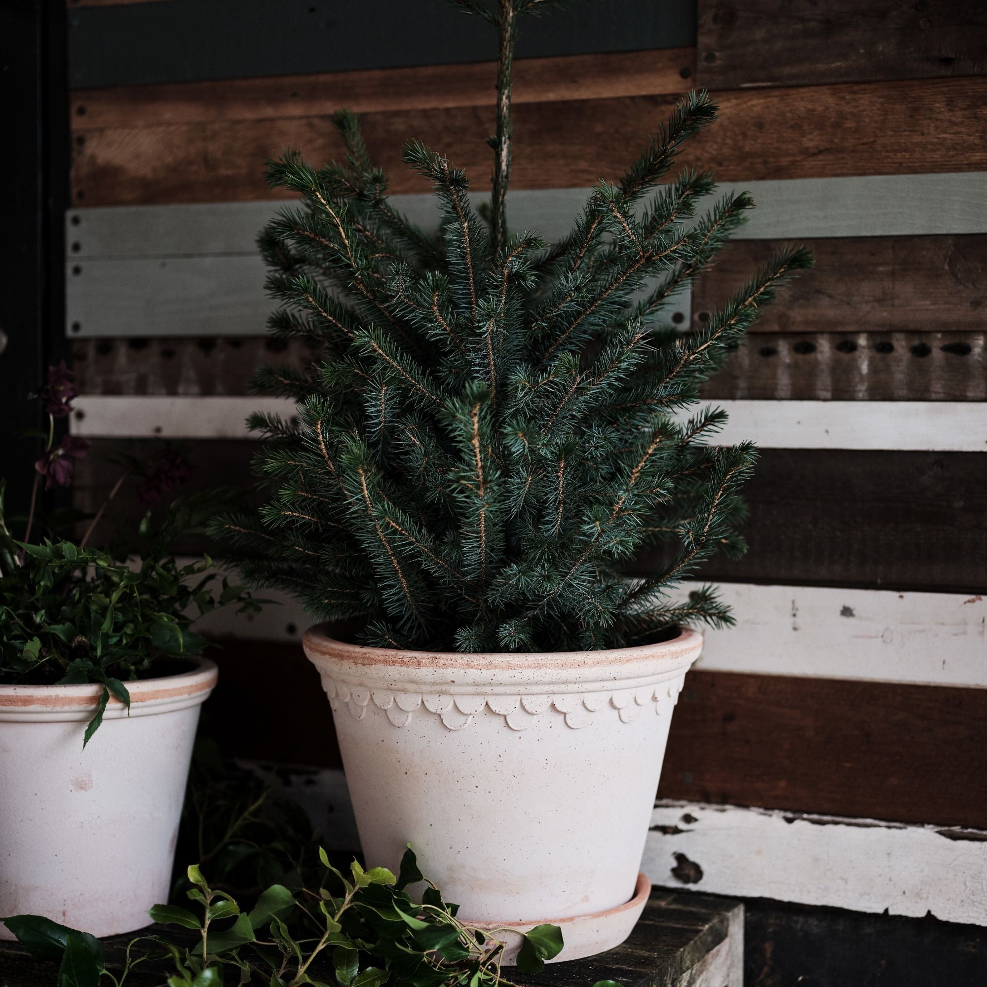 Copenhagen Ø30 Planter & Saucer