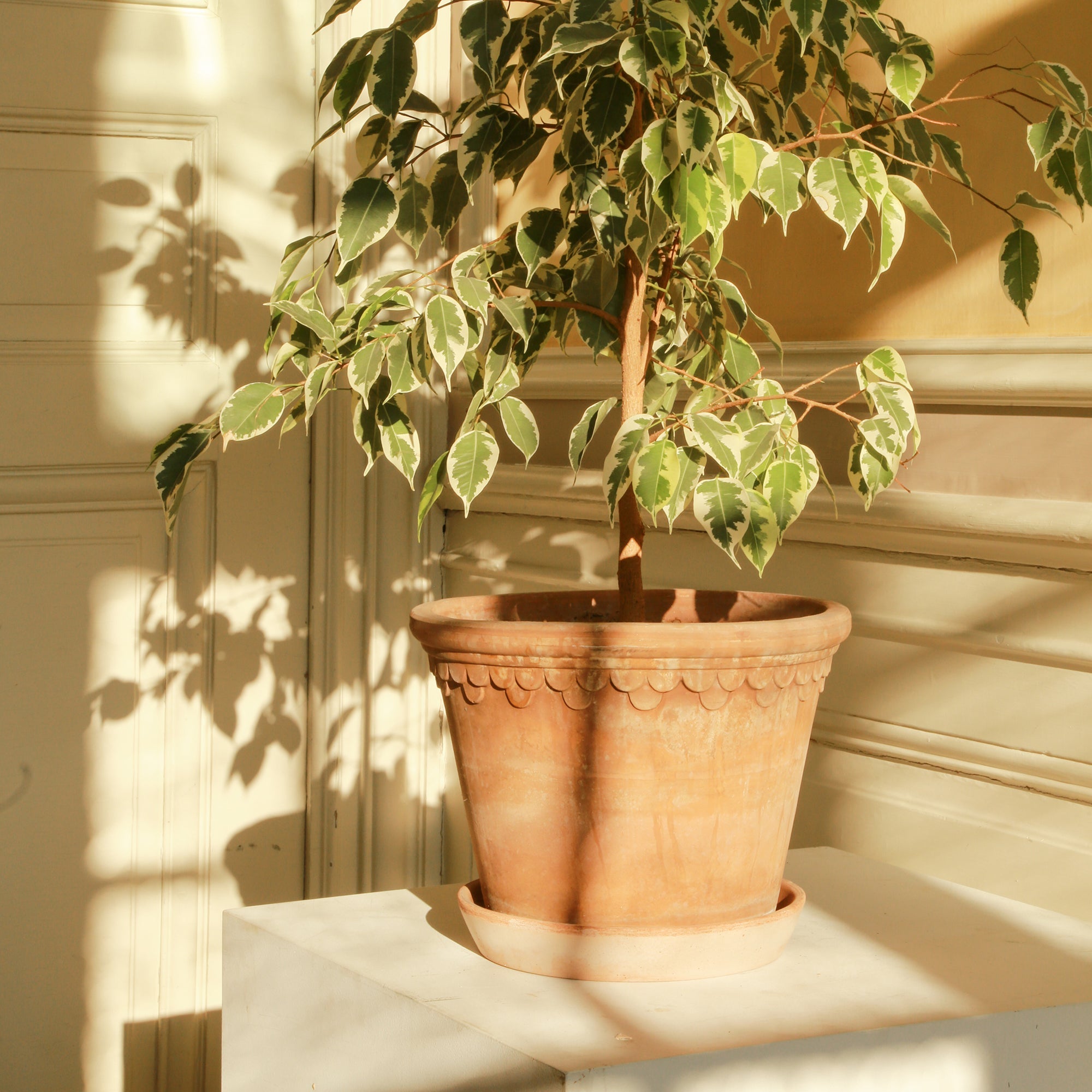 Copenhagen Ø30 Planter & Saucer