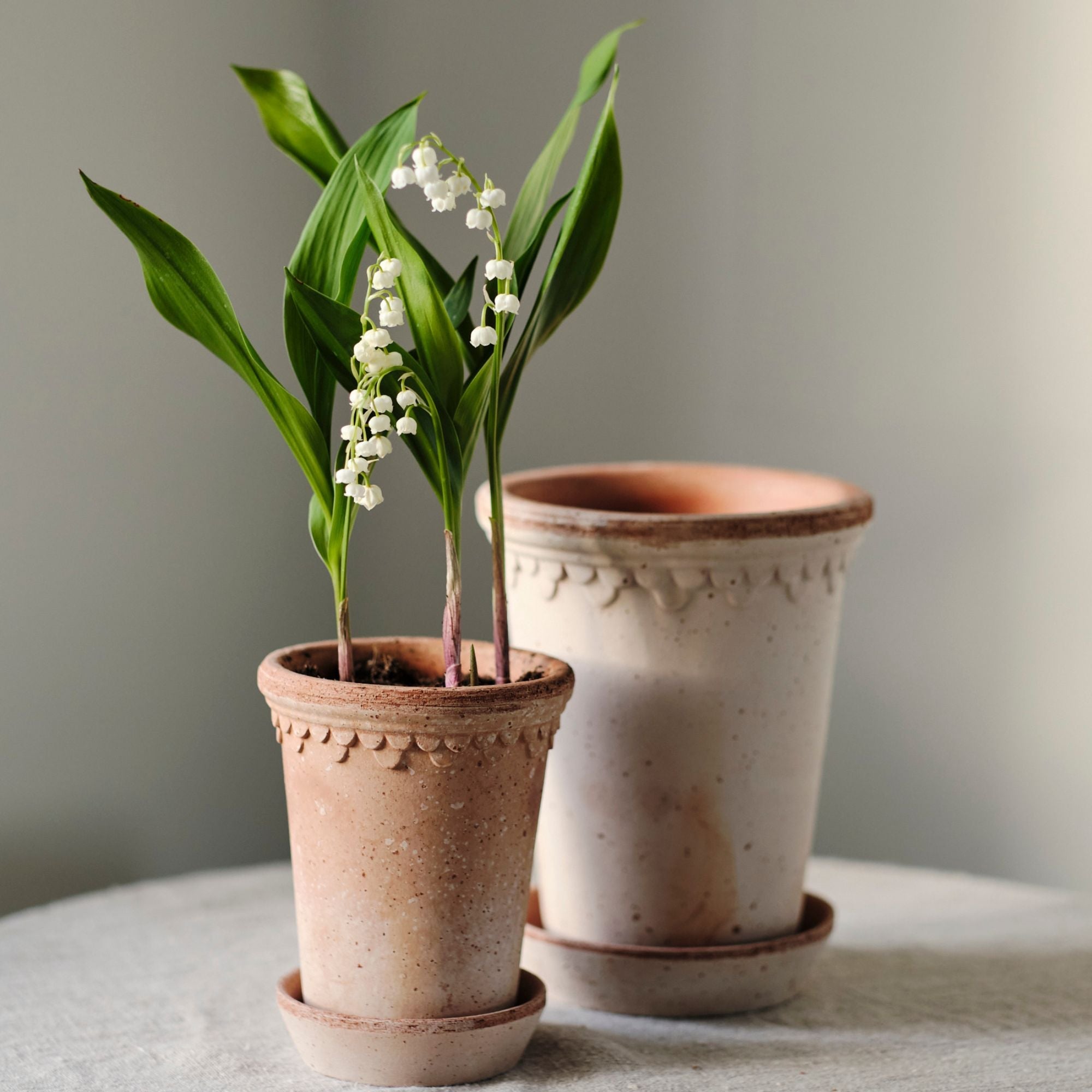 Copenhagen Ø14 Tall Planter & Saucer
