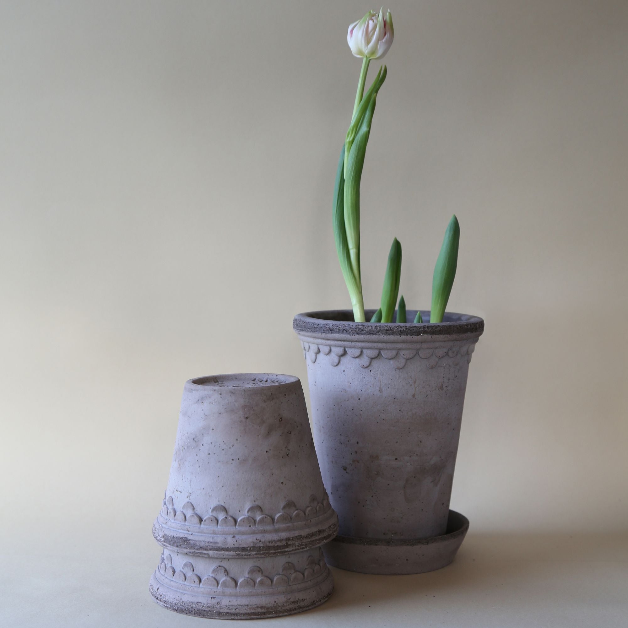 Copenhagen  Ø18 Tall Planter & Saucer