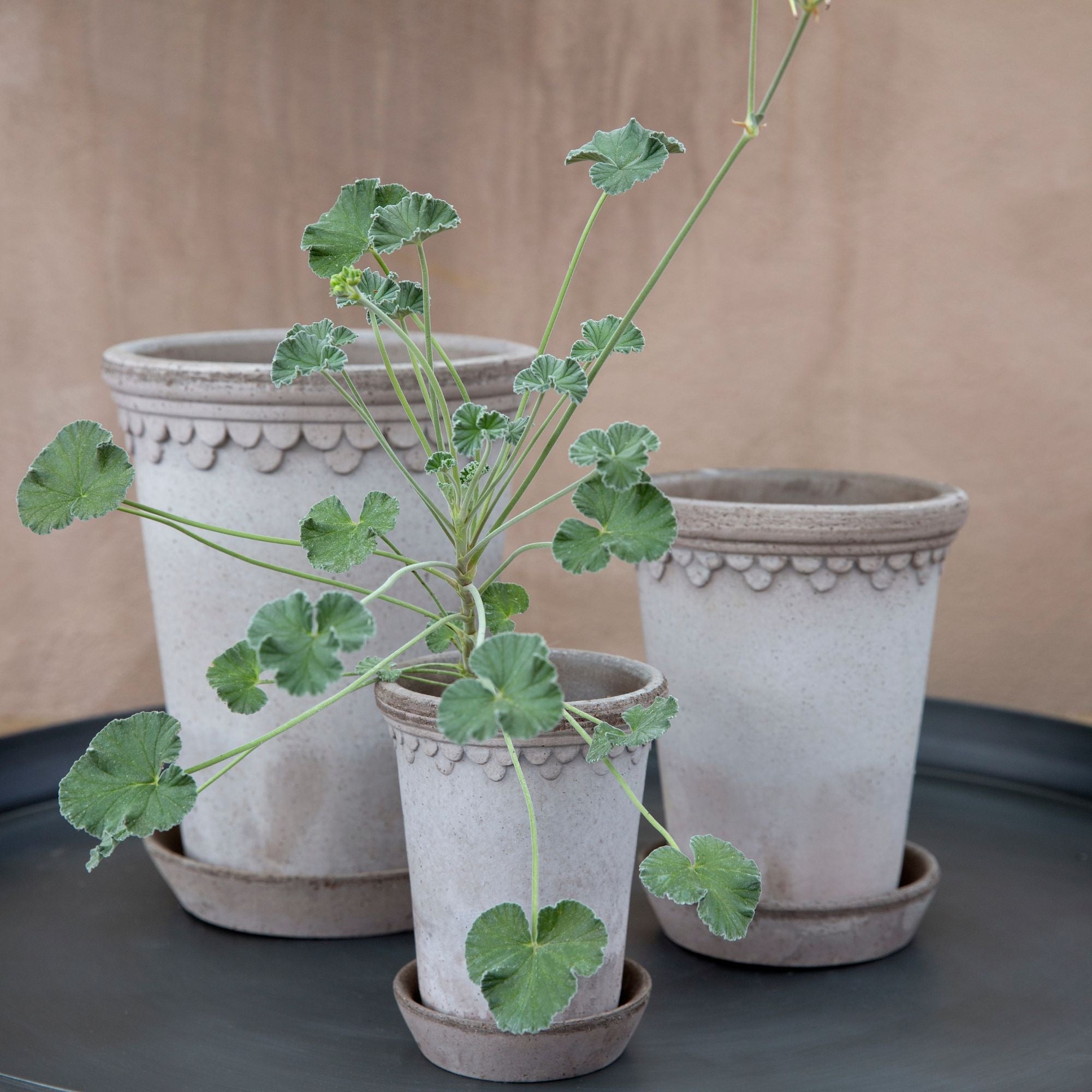 Copenhagen  Ø18 Tall Planter & Saucer