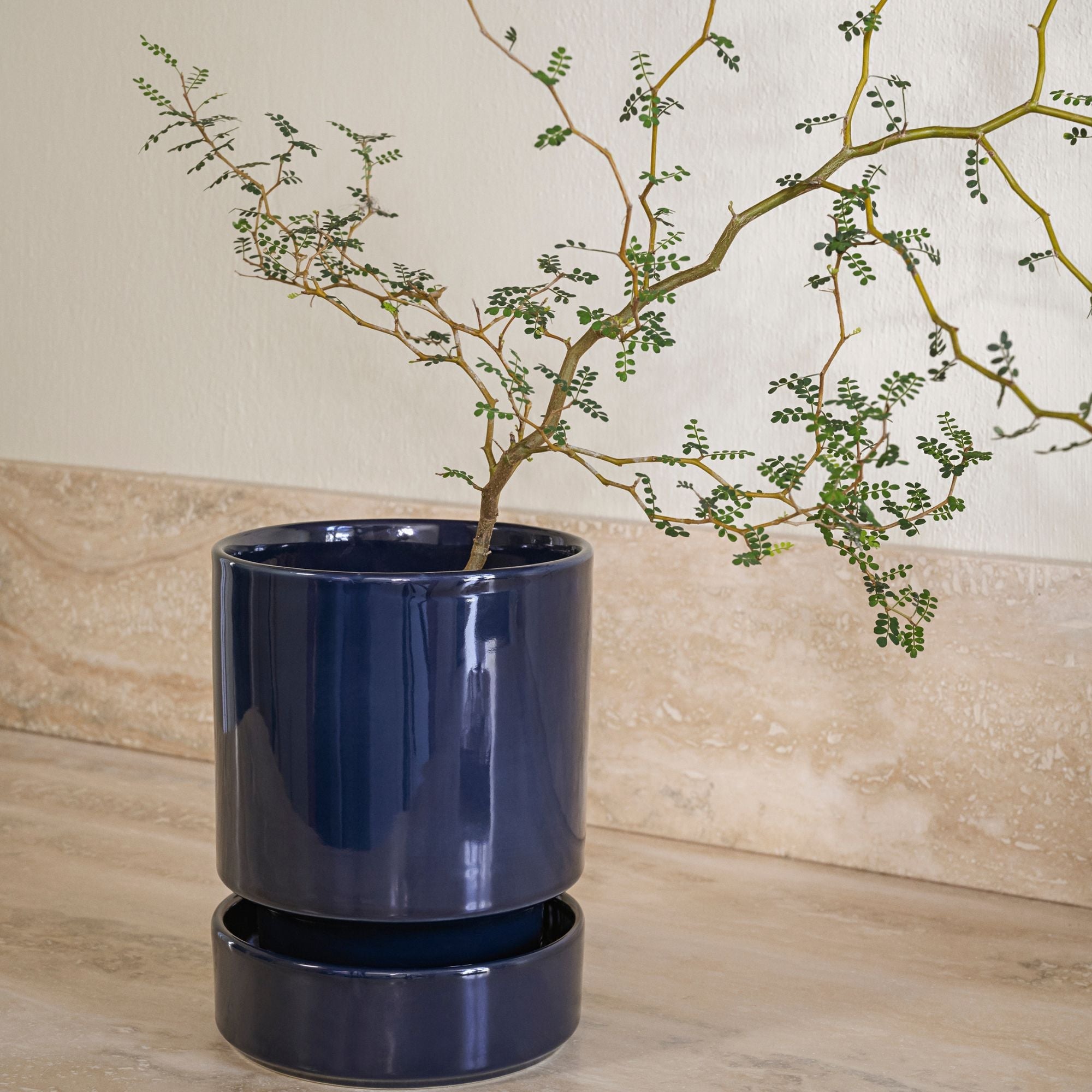Hoff Ø14 Planter & Saucer Gift Set