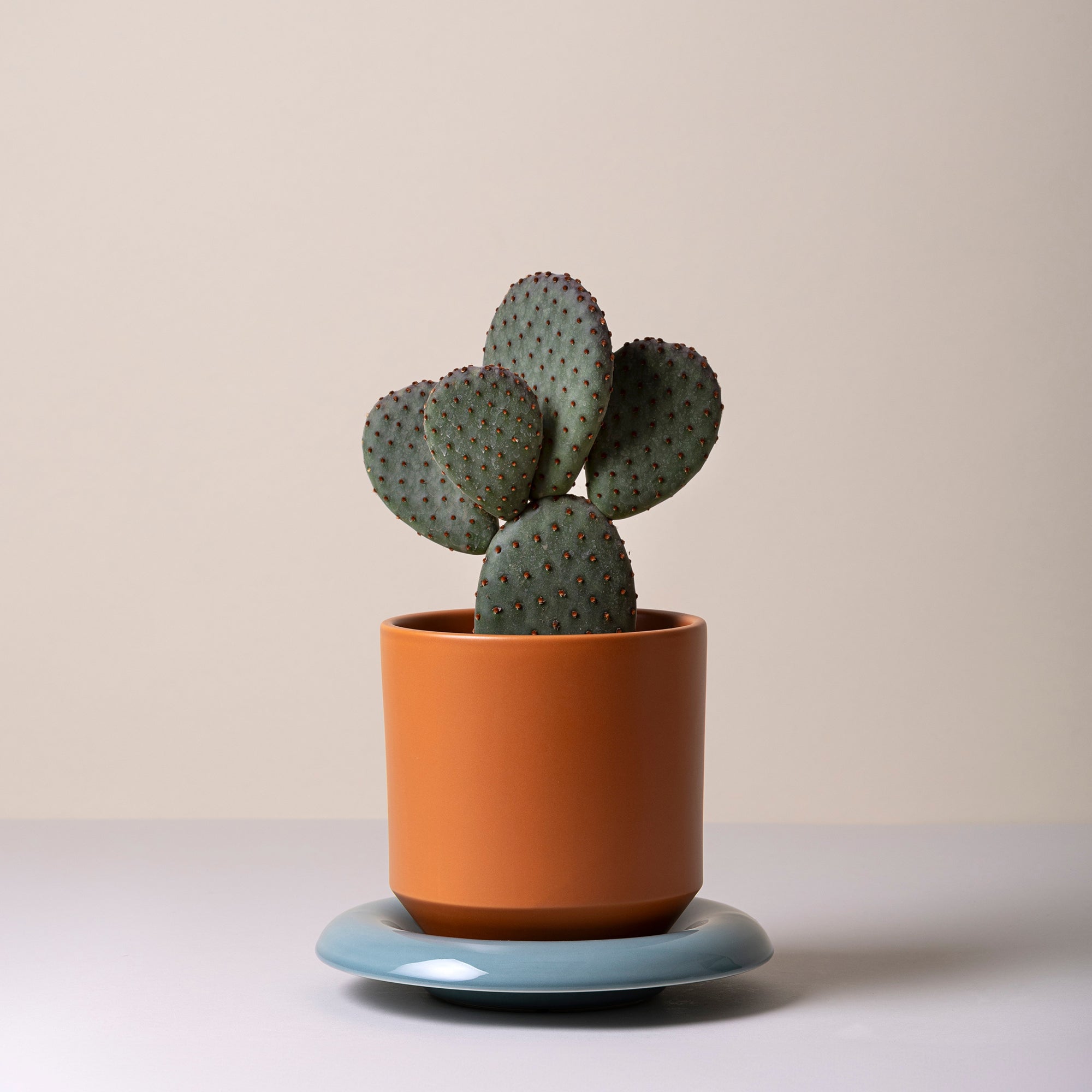 Lily Ø14 Planter