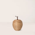 Apple Braided Storage