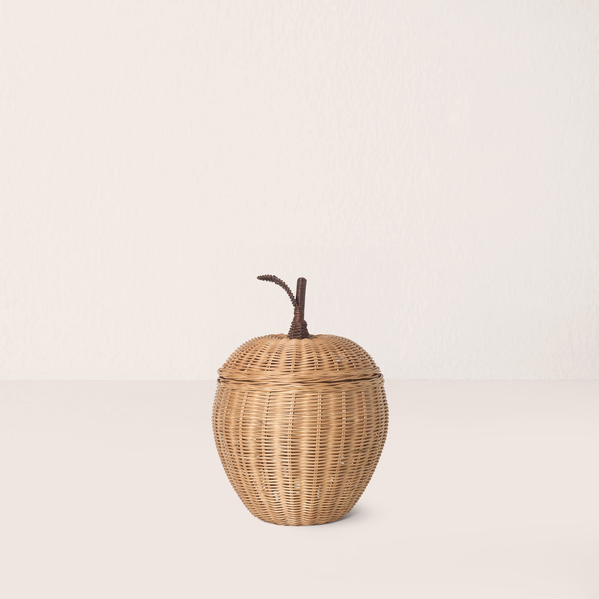 Apple Braided Storage